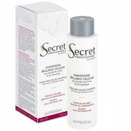 Secret Professionnel Shampooing Brillance Couleur     200  